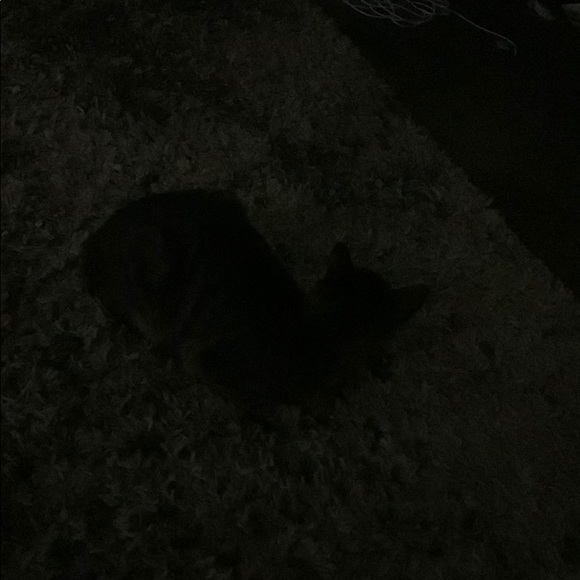 Profile Picture of Owen Alexander (@owenalexander) on Poshmark