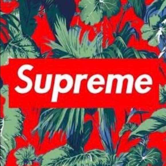 Profile Picture of David Lopez (@david_lopez) on Poshmark