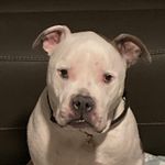 Profile Picture of Tony Bruns (@tony.bruns.92) on Instagram