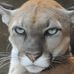 Profile Picture of Daniel Vanderkooi (@daniel.vanderkooi.5) on Facebook