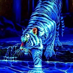 Profile Picture of Carlos Camacho (@nu7507020) on Flickr