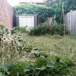 Profile Picture of Adam Kessler (@inept_gardener) on Instagram