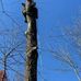 Profile Picture of Chuck Williamson (@chuck.williamson.1401) on Facebook