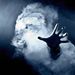 Profile Picture of Mark Royce (@markroycet) on Pinterest