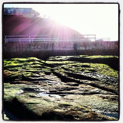 Profile Picture of ScubaSteve27 (@StephenPacheco2) on Twitter