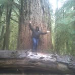 Profile Picture of David Bredin (@bredind) on Facebook