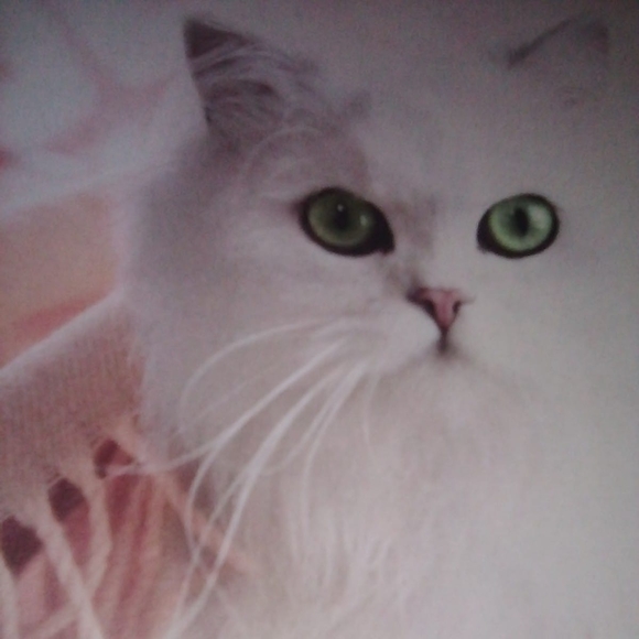 Denise Anoka - Poshmark Profile Picture of Denise Anoka (@denise_anoka) on Poshmark