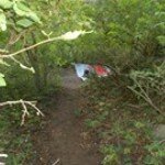 Profile Picture of Andy Gee (@andygee5494) on Instagram