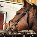 Profile Picture of ❤️Vilhelmina Kekki❤️ (@team_kekki) on Instagram