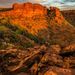 Profile Picture of Ernest Turek  (@ernestturek) on Pinterest