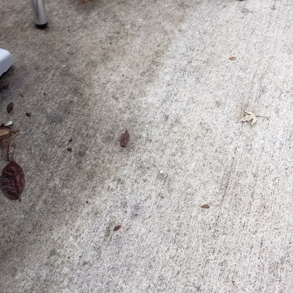 Profile Picture of Kristian Mitchell (@1234kris554) on Poshmark