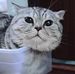 Profile Picture of Autum Hight (@autum.hight) on Facebook