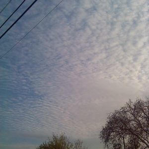 Profile Picture of Robertlangevin (@robertlangevin5) on Myspace