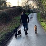 Profile Picture of Paul Tonge (@paultonge80) on Instagram