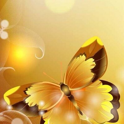 Profile Picture of Elena (@lixiawu) on Twitter