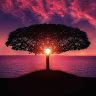Profile Picture of Amber McWilkey (@ajmc882) on Pinterest