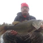 Profile Picture of Andy Vue (@andy.vue1) on Instagram