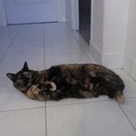 Profile Picture of Marie Benoit (@mariebenoitmakeup) on Instagram