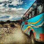 Profile Picture of Damian Bell Honeyguide (@kisongo) on Instagram