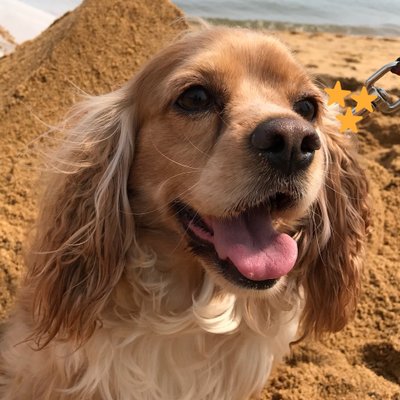 Profile Picture of Ran Zhao (@kevin2robinli) on Twitter