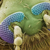 Profile Picture of Joshua Smyth (@joshuasmyth8141) on Youtube