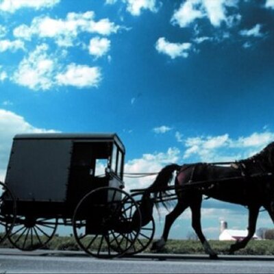 Profile Picture of James Kandel (@james_kandel) on Twitter
