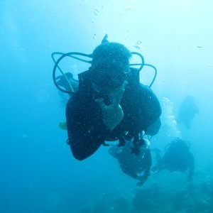 Profile Picture of Karl Laurie (@KarlLaurie2) on Twitter