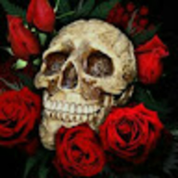 Profile Picture of Cassandra Nolan (@grumpykitty1009) on Poshmark