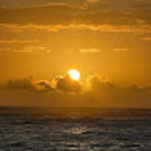 Penny Shireman - Poshmark Profile Picture of Penny Shireman (@flipflop2380) on Poshmark