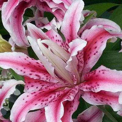 Profile Picture of Joanne Russell (@JoMcMinn) on Twitter