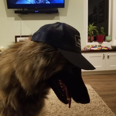 Profile Picture of Derek Marley (@dwmarley) on Twitter