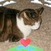 Profile Picture of Monty McDaniel (@montymcd) on Facebook