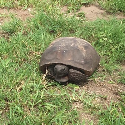 Profile Picture of Charles Bray (@charlesbray624) on Twitter