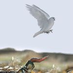 Profile Picture of voskanyan___77 (@voskanyan___77) on Instagram