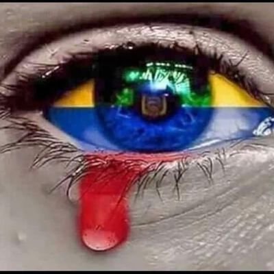 Profile Picture of Carmen Cecilia Corredor Saldaña (@CarmenC17196235) on Twitter