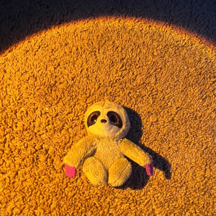 SCOTT THE SLOTH - Tiktok Profile Picture of SCOTT THE SLOTH (@scott._.the.sloth) on Tiktok