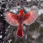 Profile Picture of Jean Cannon (@jean.cannon.332) on Instagram