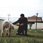 Profile Picture of Edison Orellana (@orellanaedison) on Instagram