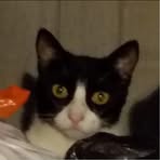 Profile Picture of Lorelei Acain (@lorelei.acain) on Facebook