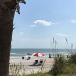 Profile Picture of Matthew & Brandon (@pawleysbirdcage) on Instagram