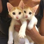 Profile Picture of Jed & Leo (@jedandleoforever) on Instagram