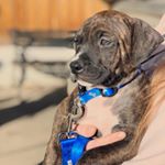 Sailor Scott - Instagram Profile Picture of Sailor Scott (@sailingsailor1013) on Instagram