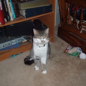 Profile Picture of Roland Bryant (@RolandB69721768) on Twitter