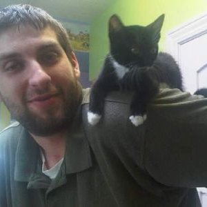 Profile Picture of William S. Sperling (@PhaseSpoder) on Twitter
