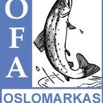 Profile Picture of OFA (@ofafiske) on Instagram