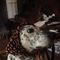 Profile Picture of William Bartow (@william.bartow.58) on Facebook