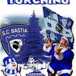 Profile Picture of Totaro Michael (@totaro_michael) on Instagram