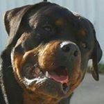 Profile Picture of Scott Funston (@funstonscott) on Instagram