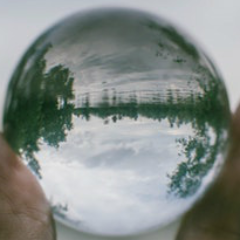 Profile Picture of Shannon Apilando (@greenytoytle) on Twitter