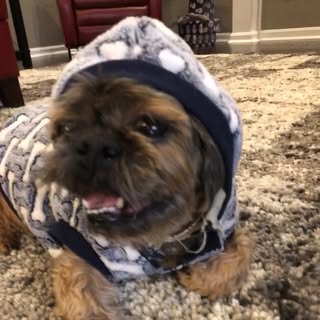 Profile Picture of Joshua Cassio (@joshua_cassio) on Instagram